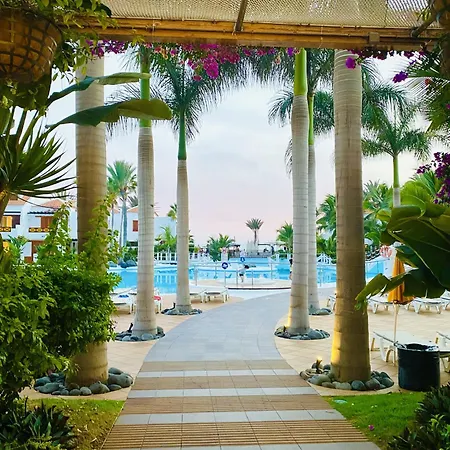 Azure Heaven By Deihu Experiences * Playa de las Americas (Tenerife)